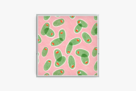 Square acrylic tray with Olives Extra-pattern on a white background